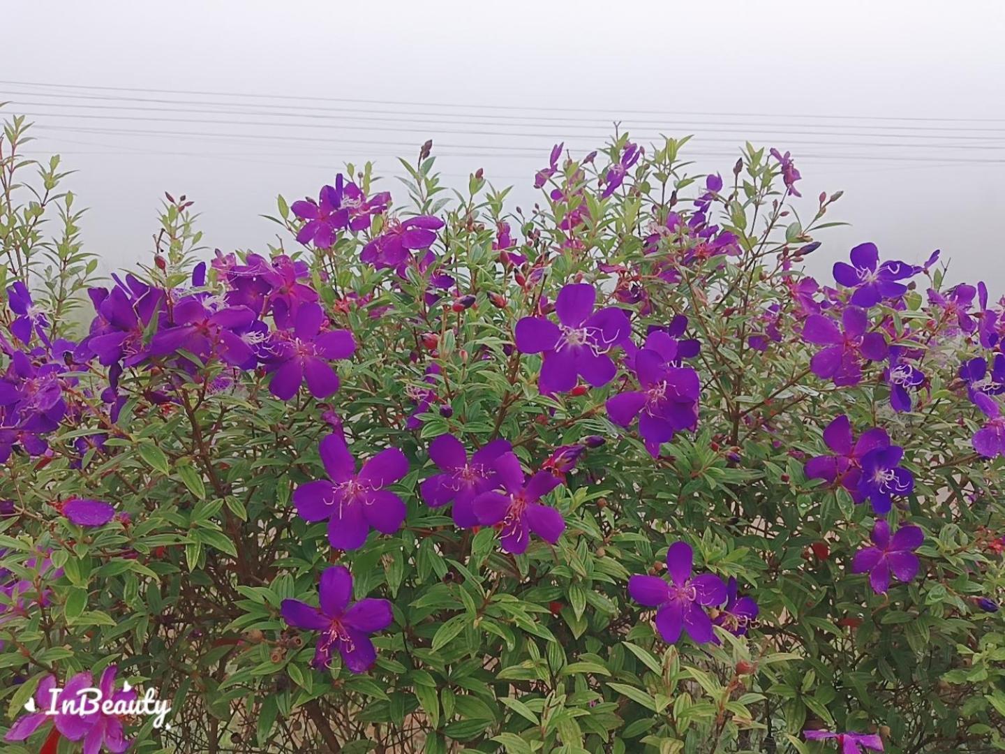 เฟรนด์แคมป์ Villa Khao Kho Dış mekan fotoğraf