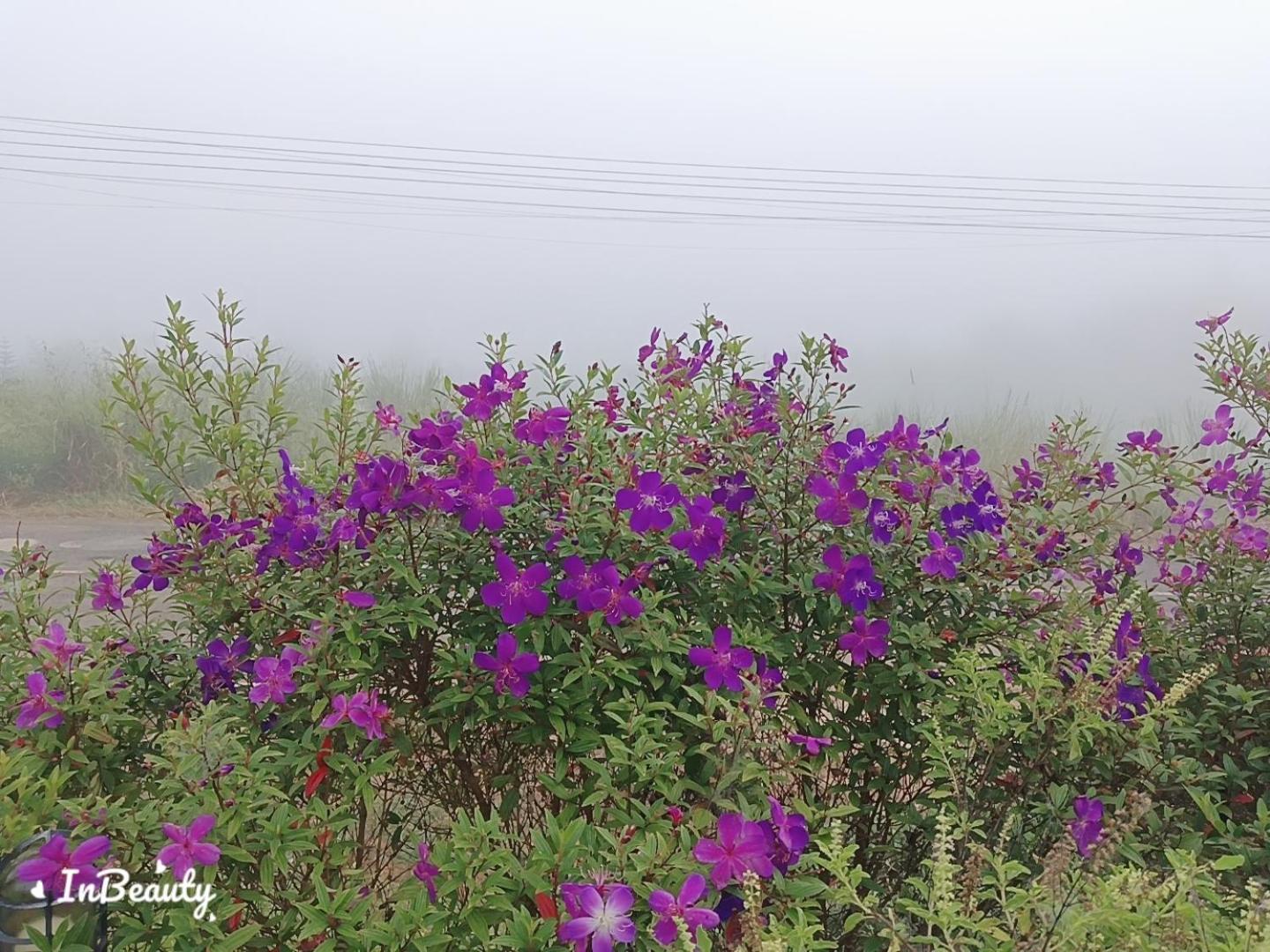 เฟรนด์แคมป์ Villa Khao Kho Dış mekan fotoğraf
