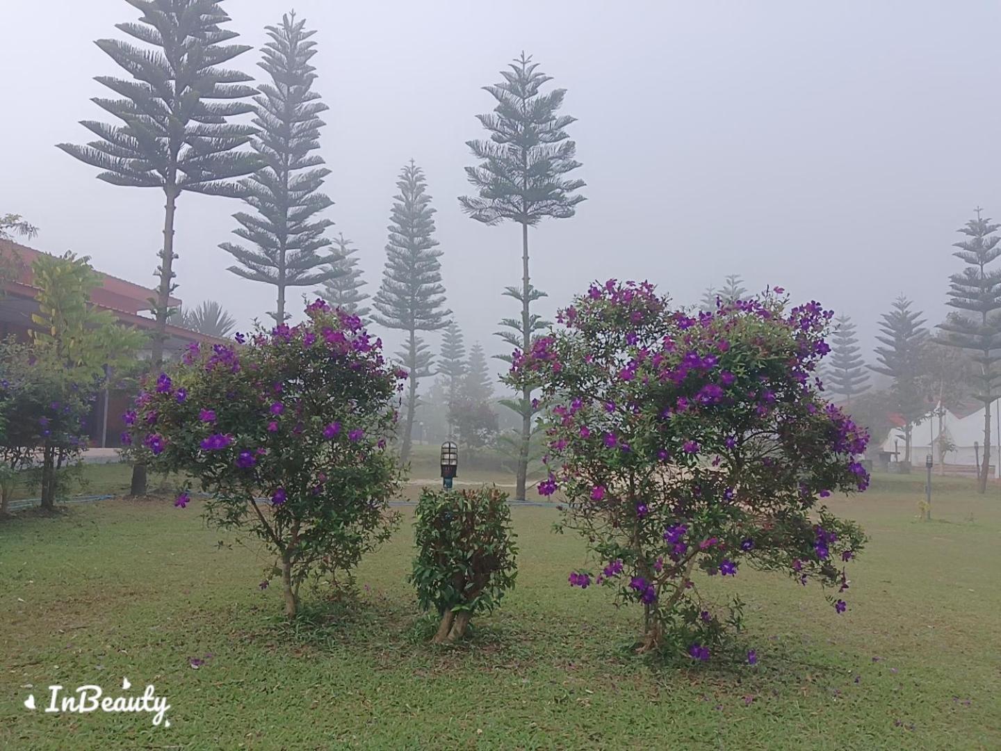เฟรนด์แคมป์ Villa Khao Kho Dış mekan fotoğraf